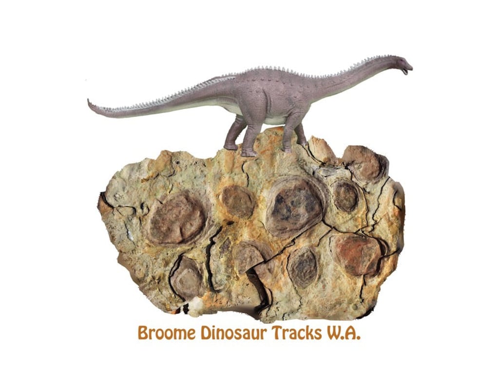 Broome Dinosaur Experience logo