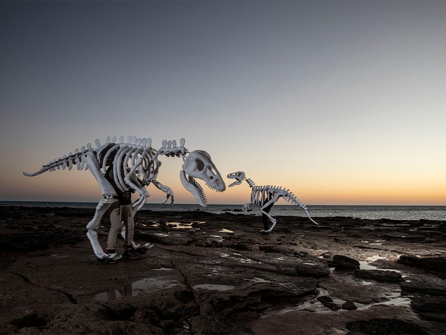 Dinosaur puppets on a Broome beach