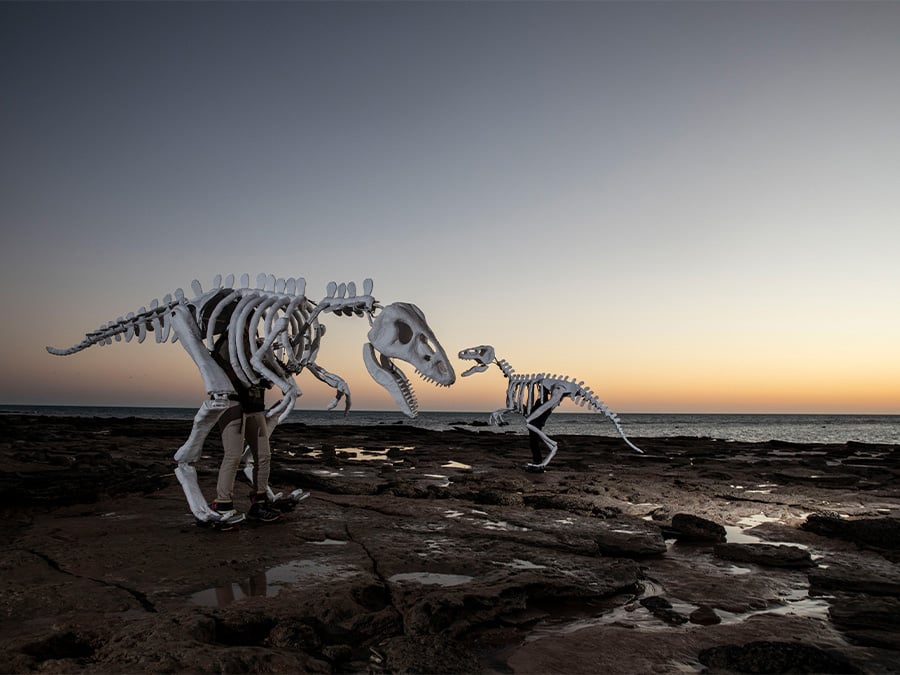 Aerial-view-of-Cable-Beach-dinosaur-tracks