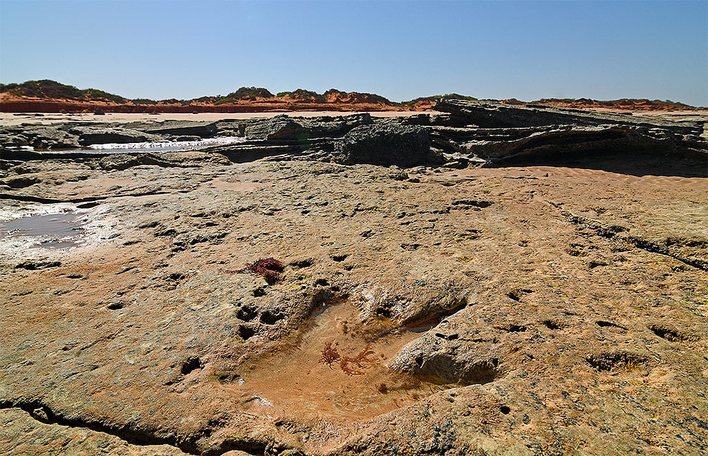 Sauropod tracks on the Dinosaur Coast Broome