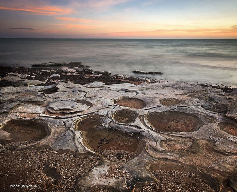 Sauropod tracks on the Dinosaur Coast Broome