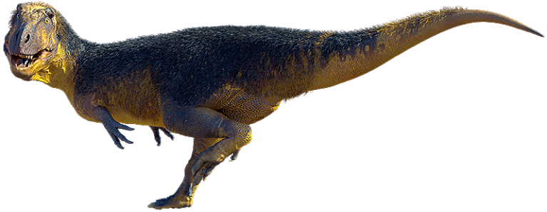 Theropods | Australian Dinosaurs | Broome Trackmakers | Dinosaur Coast