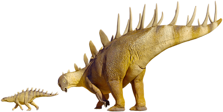 Theropods Australian Dinosaurs Broome Trackmakers Dinosaur Coast