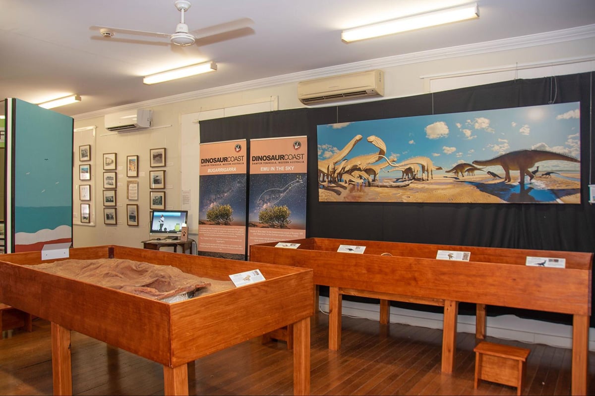 Visit the Dinosaur Coast display at the Broome Museum