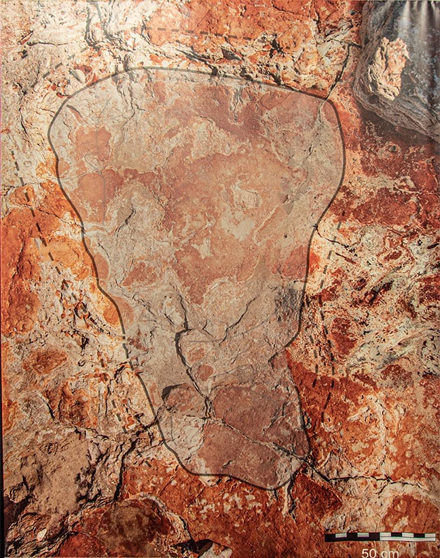 The largest dinosaur footprint in Australia